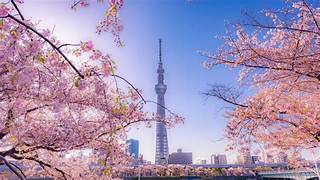 Tokio